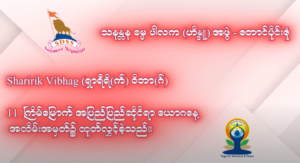 Read more about the article Yoga Day 2025